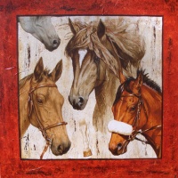 Horses 100x100